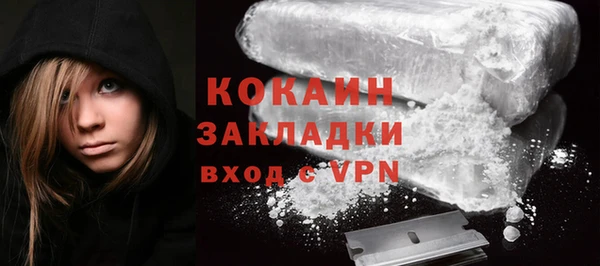 гидра Володарск
