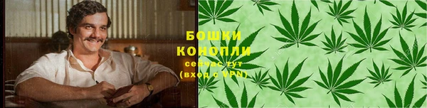 экстази Вяземский