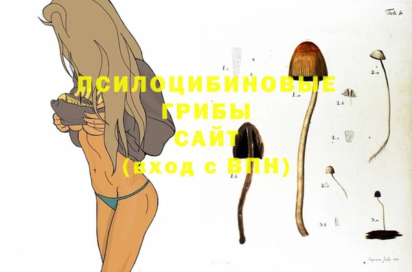 ешки Волосово