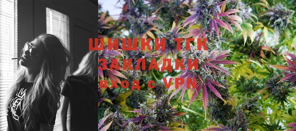гидра Володарск