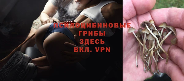 экстази Вяземский