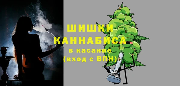 крисы Вязьма