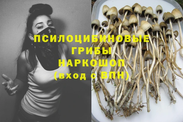 крисы Вязьма
