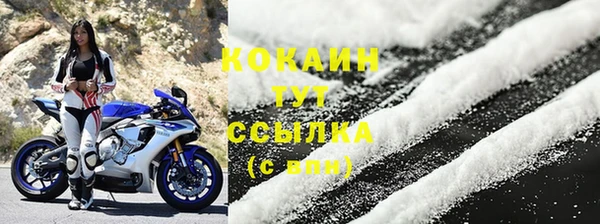гашик Вязники