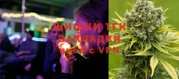 гидра Володарск